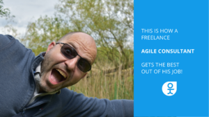 freelance agile consultant