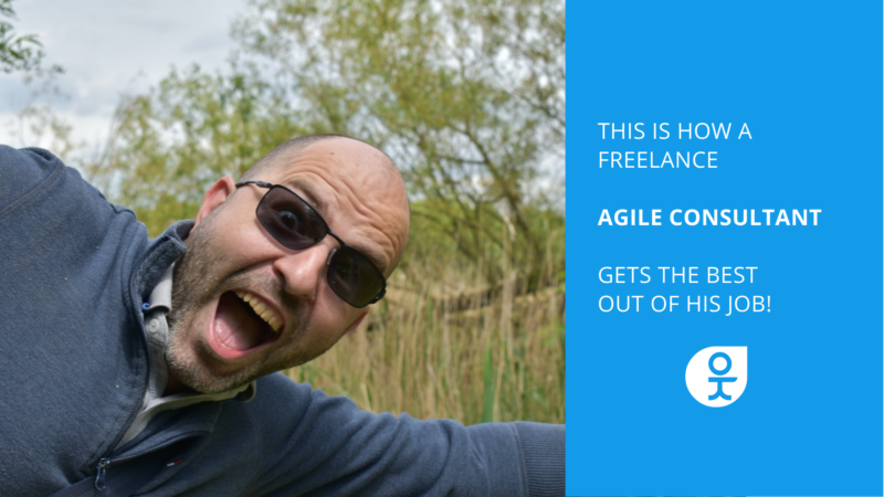 freelance agile consultant